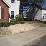 Charlotte Stump Grinding Completed